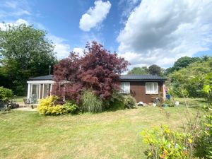 Photo 2- click for photo gallery